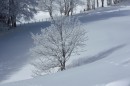 Ebenwald-Winter-2013-42.jpg