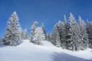 Ebenwald-Winter-2013-48.jpg