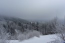 Ebenwald-Winter-2013-5.jpg
