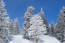 Ebenwald-Winter-2013-50.jpg