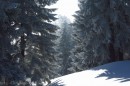 Ebenwald-Winter-2013-51.jpg