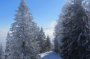 Ebenwald-Winter-2013-52.jpg