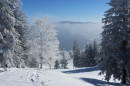 Ebenwald-Winter-2013-53.jpg
