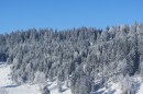Ebenwald-Winter-2013-55.jpg