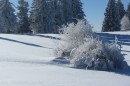 Ebenwald-Winter-2013-59.jpg