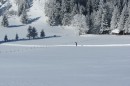 Ebenwald-Winter-2013-60.jpg