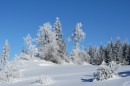 Ebenwald-Winter-2013-61.jpg