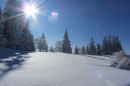Ebenwald-Winter-2013-62.jpg