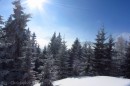 Ebenwald-Winter-2013-70.jpg