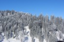 Ebenwald-Winter-2013-72.jpg