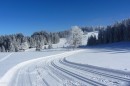 Ebenwald-Winter-2013-75.jpg