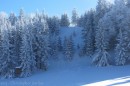 Ebenwald-Winter-2013-77.jpg