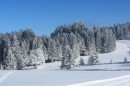 Ebenwald-Winter-2013-78.jpg