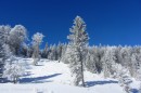 Ebenwald-Winter-2013-79.jpg