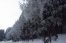 Ebenwald-Winter-2013-8.jpg