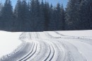 Ebenwald-Winter-2013-80.jpg