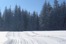 Ebenwald-Winter-2013-81.jpg