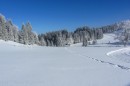 Ebenwald-Winter-2013-83.jpg