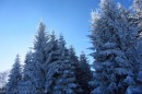 Ebenwald-Winter-2013-87.jpg