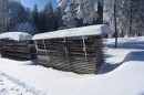 Ebenwald-Winter-2013-90.jpg