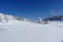 Ebenwald-Winter-2013-92.jpg